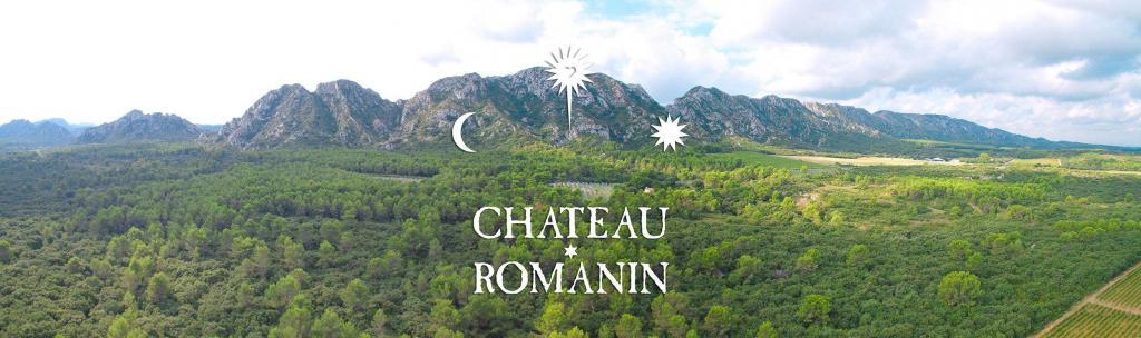 panoramique View @chateauromanin #WinesofProvence #LesBauxdeProvence