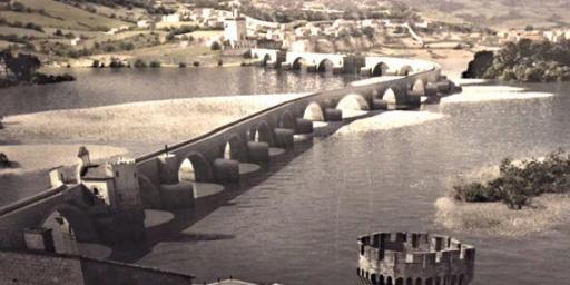 Pont d 'Avignon Construction @Margo_Lestz