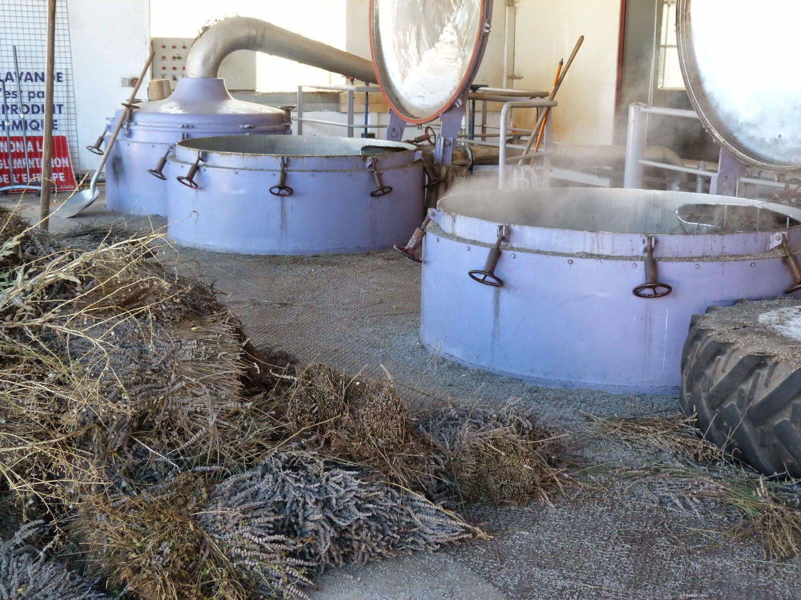 Distillery Lavender in Provence @deb_lawrenson