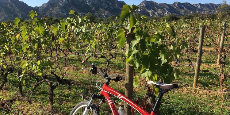 Perfectly Provence Video Alpilles Mountains in Autumn