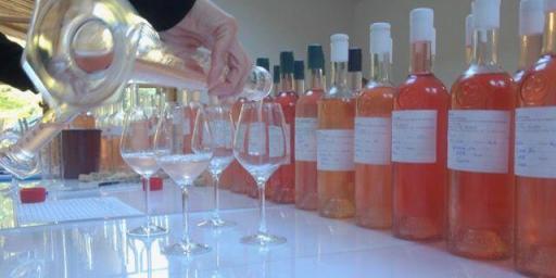 Blending roses from Provence at Mirabeau Wines