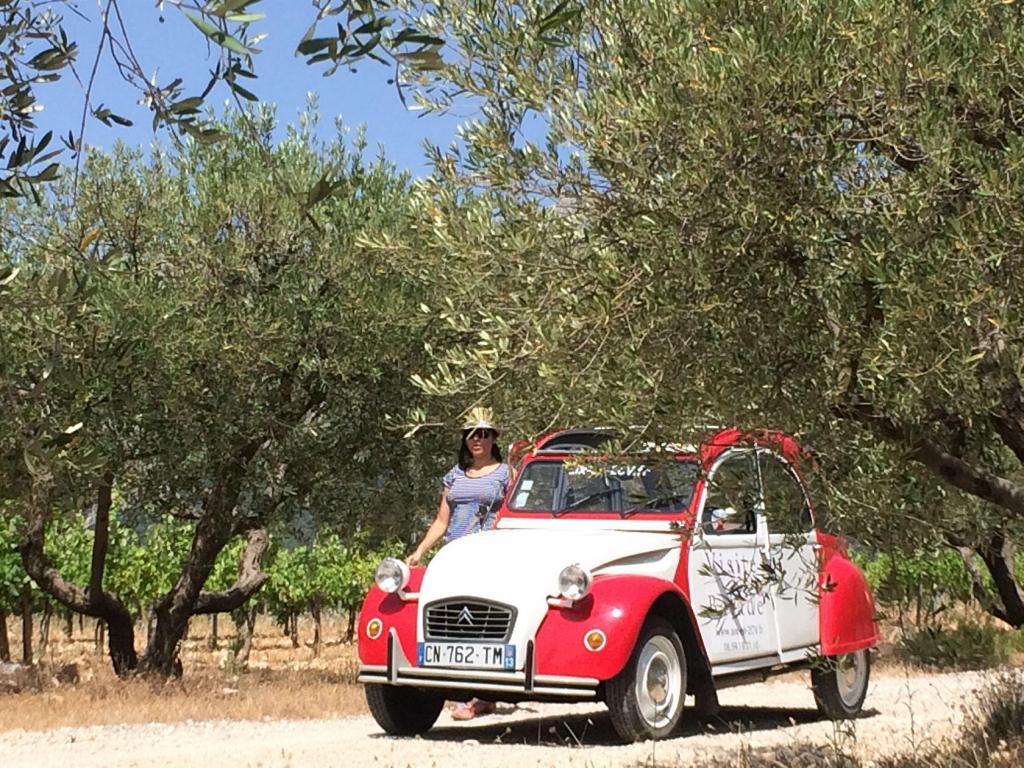 Aix en Provence 2CV Experience visiting the olive groves