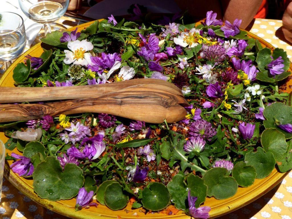 Detox in Luberon healthy salad with flowers