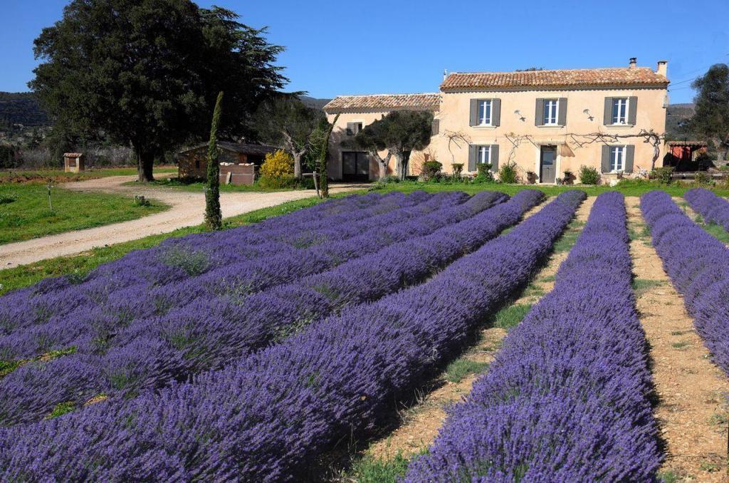 Detox in the Luberon Domaine de Saint Jacques and lavender
