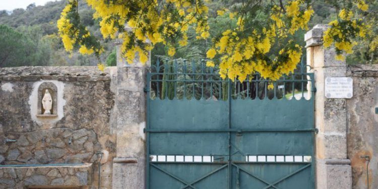 French Riviera Mimosa Trail Photos @girlgonegallic
