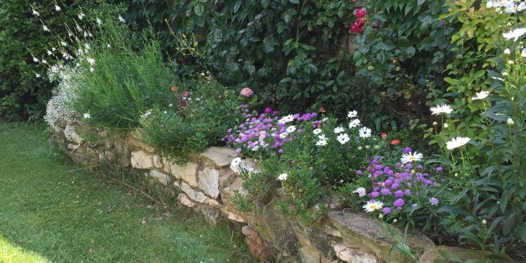 Mas d'Augustine Garden @bfblogger2015