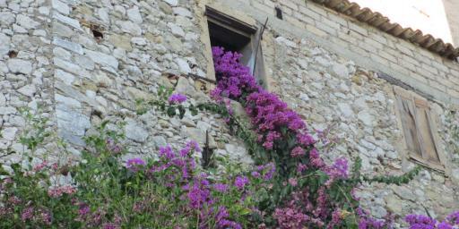 Tourrettes-sur-Loup The City of Violets in Provence