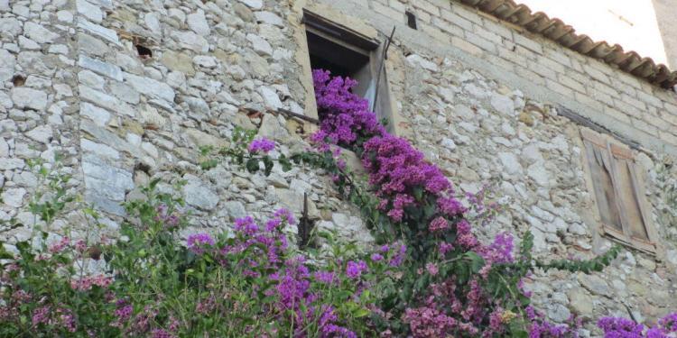 Tourrettes-sur-Loup The City of Violets in Provence