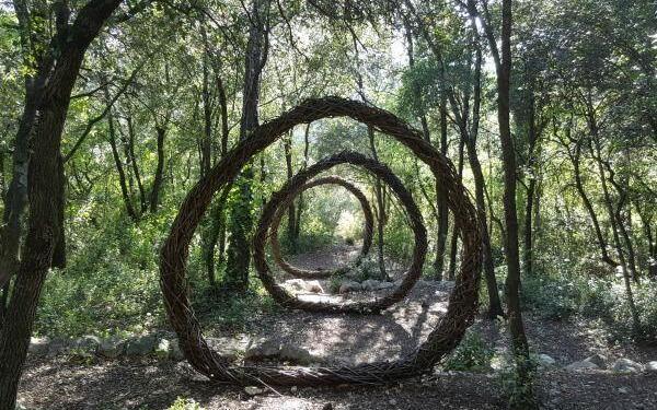 Spencer Byles Sculpture A Year in a French Forest