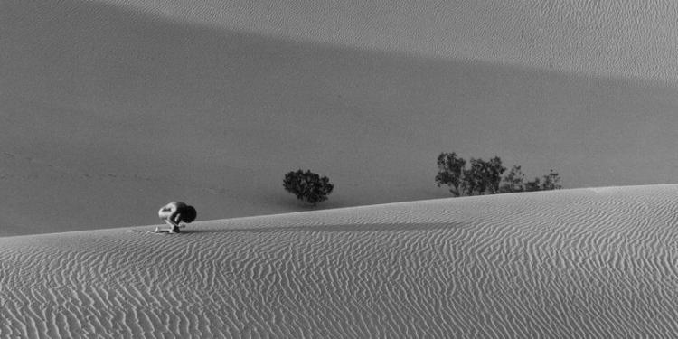 Musee Reattu Arles photography exhibitions