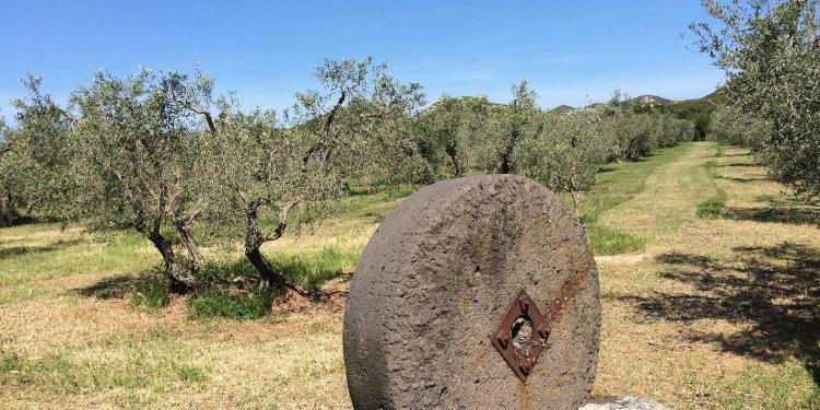Biking Provence Maussane Alpilles Ride