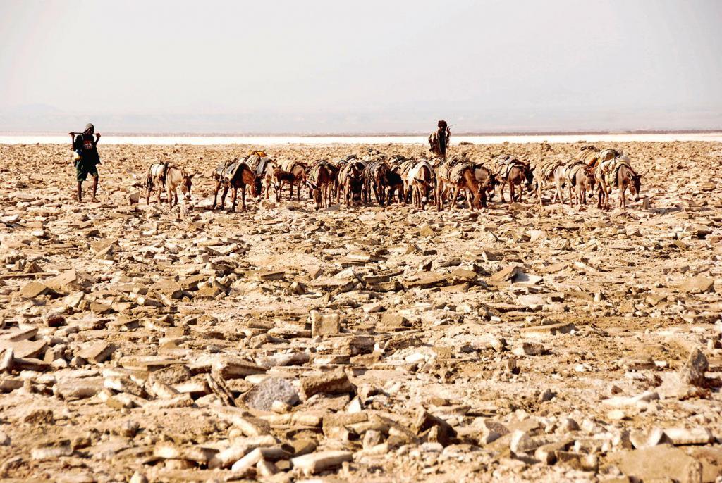 Jaulin Jaulin Ethiopia shepherds