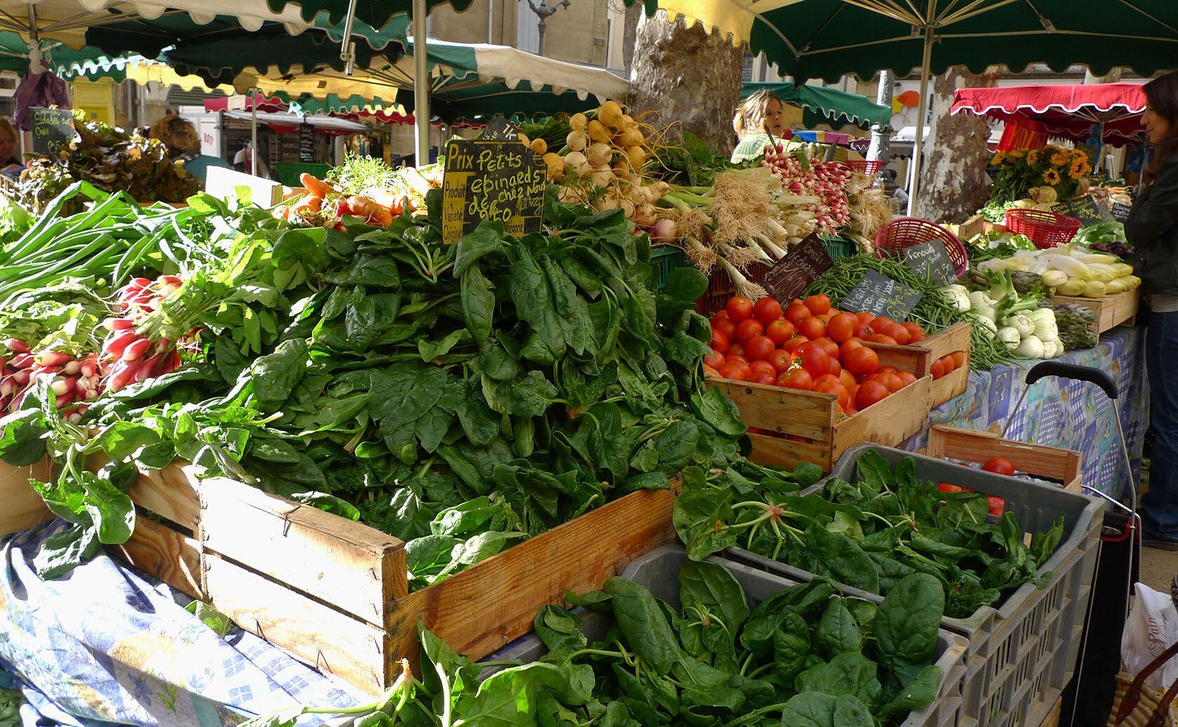 Tender Leeks Spring Markets