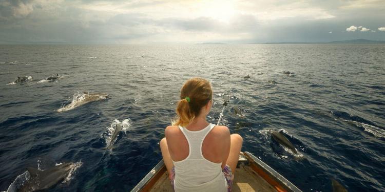 Yacht Charter French Riviera Dolphins Whales