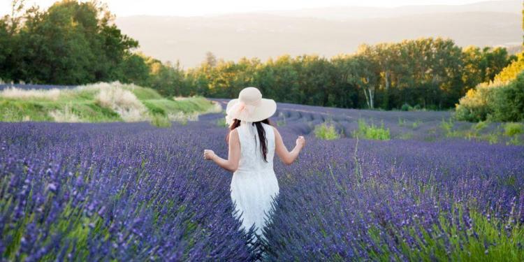 July Events Provence