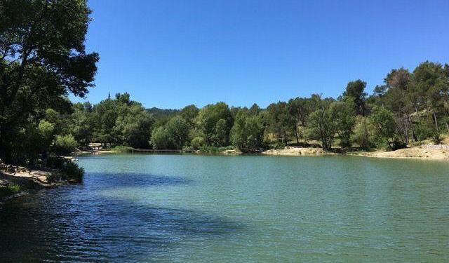 Secrets of St.-Rémy: The Best Place for a Picnic - Perfectly Provence