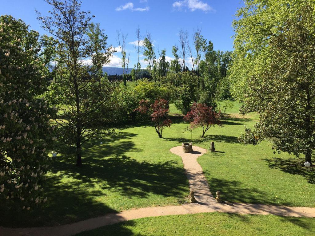 Domaine de Palerme Camus View Luberon