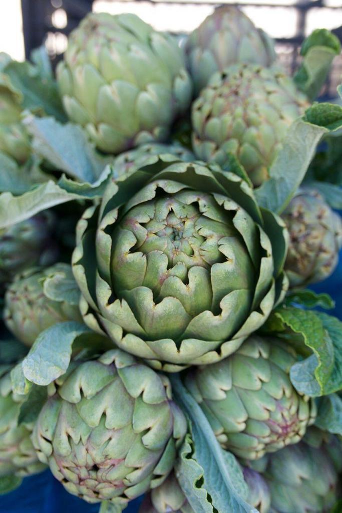 Restaurant Picks Nice Fresh Artichokes