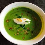Zucchini Basil Veloute Soup Recipe