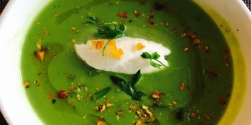 Zucchini Basil Veloute Soup Recipe