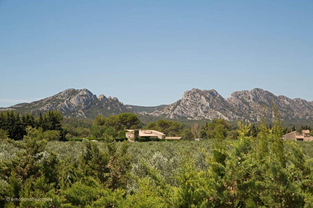 Alpilles View Holiday Rentals Provence Emotional Escapes