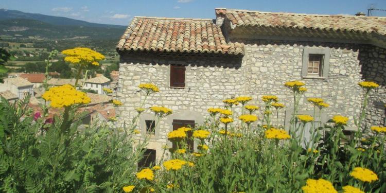 Banon Village Provence Cobblestone Vineyards