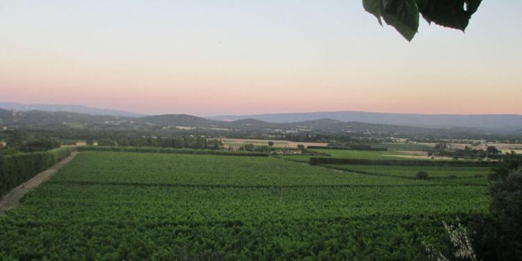 View La Terrasse Joucas Luberon