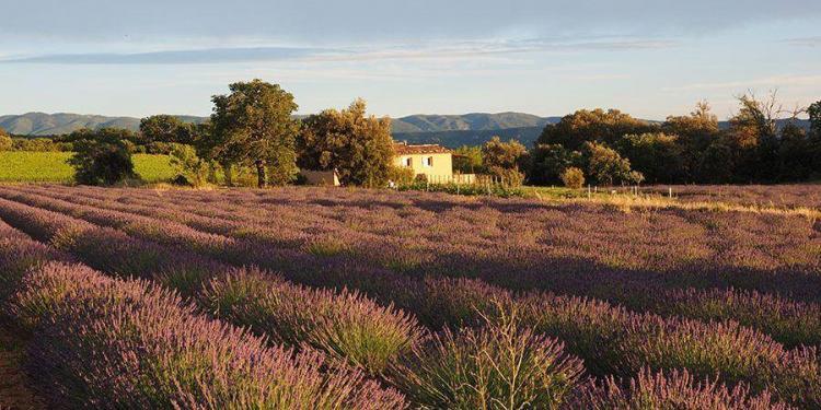 Provence During Autumn Emotional Escapes