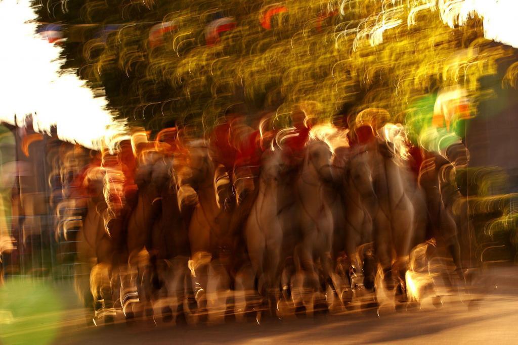 Lumières des Alpilles JF Galeron Chevaux