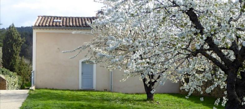 Expat Living Lourmarin Provence
