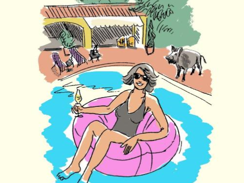 Surviving Provence Book Barbara Farber