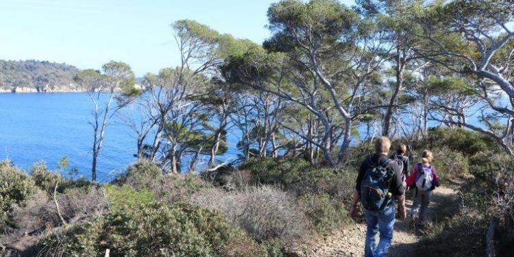 Winter in Provence Travel tips @MirabeauWine