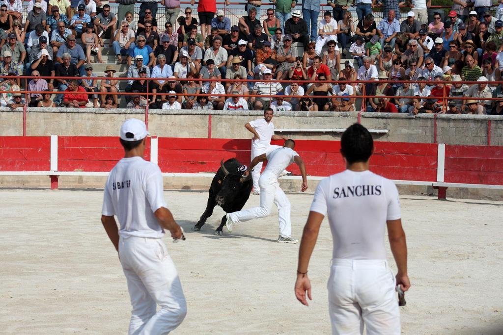 Cowboy Culture Bulls Rasateurs Course Camarguaise Provence @PerfectlyProvence