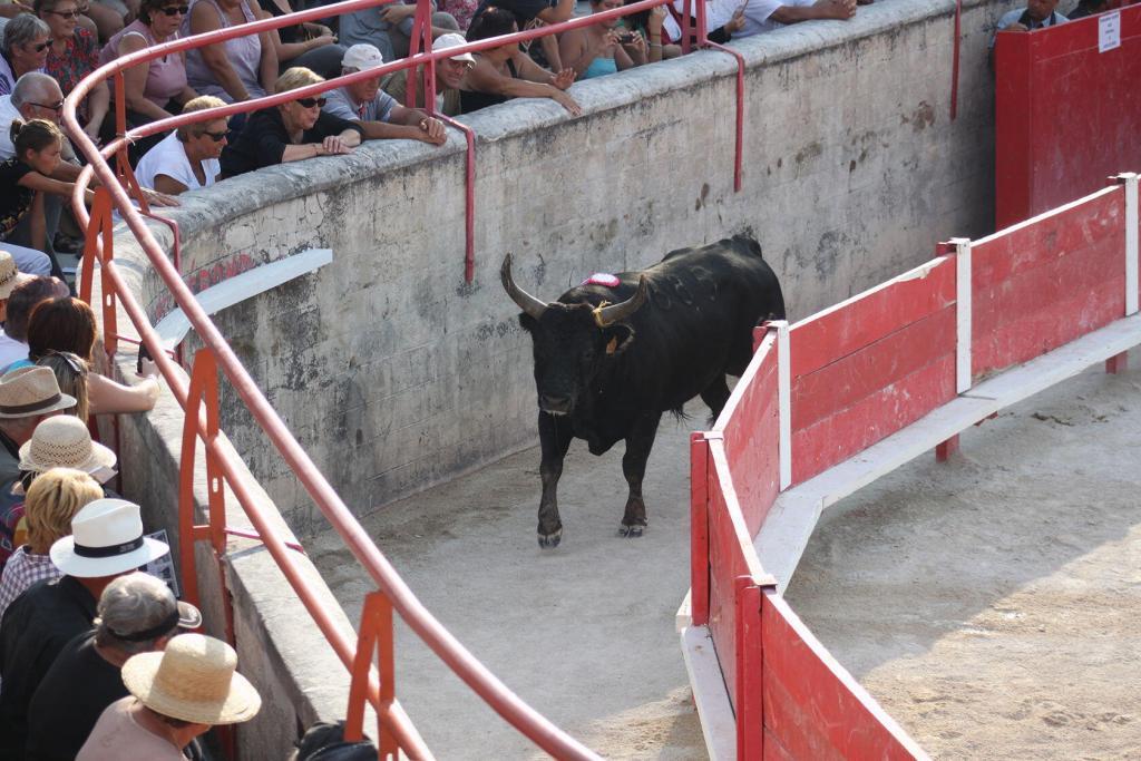 Cowboy Culture Bulls Rasateurs Course Camarguaise Provence @PerfectlyProvence