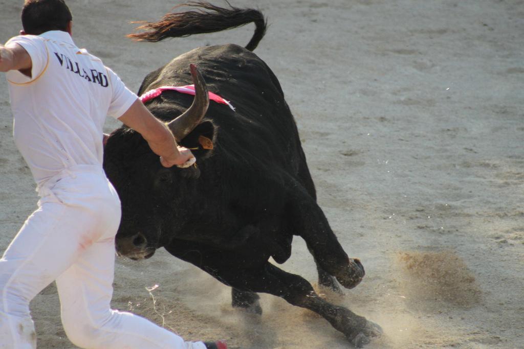 Cowboy Culture Bulls Rasateurs Course Camarguaise Provence @PerfectlyProvenceCowboy Culture Bulls Rasateurs Course Camarguaise Provence @PerfectlyProvence