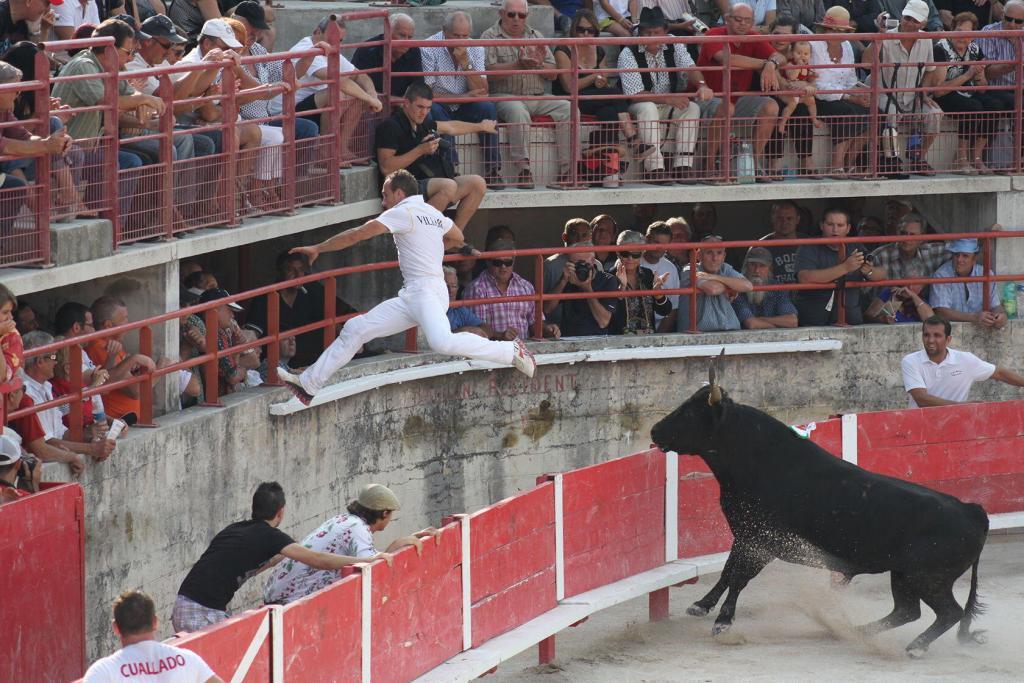 Cowboy Culture Bulls Rasateurs Course Camarguaise Provence @PerfectlyProvence