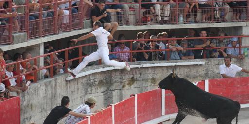 Cowboy Culture Bulls Rasateurs Course Camarguaise Provence @PerfectlyProvence