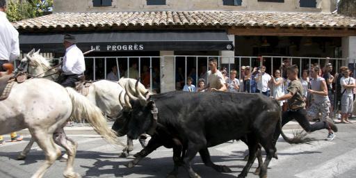 Cowboy Culture Provence Abrivado Fete du Village @PerfectlyProvence