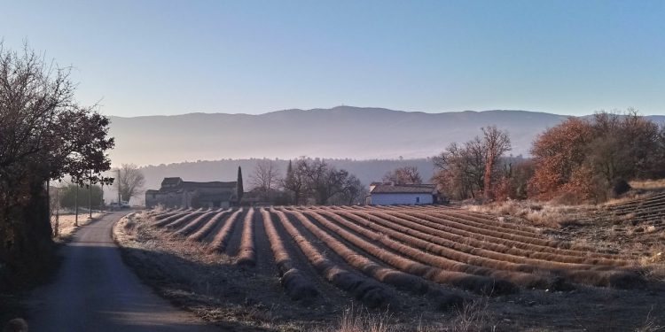 February Provence @VaucluseDreamer
