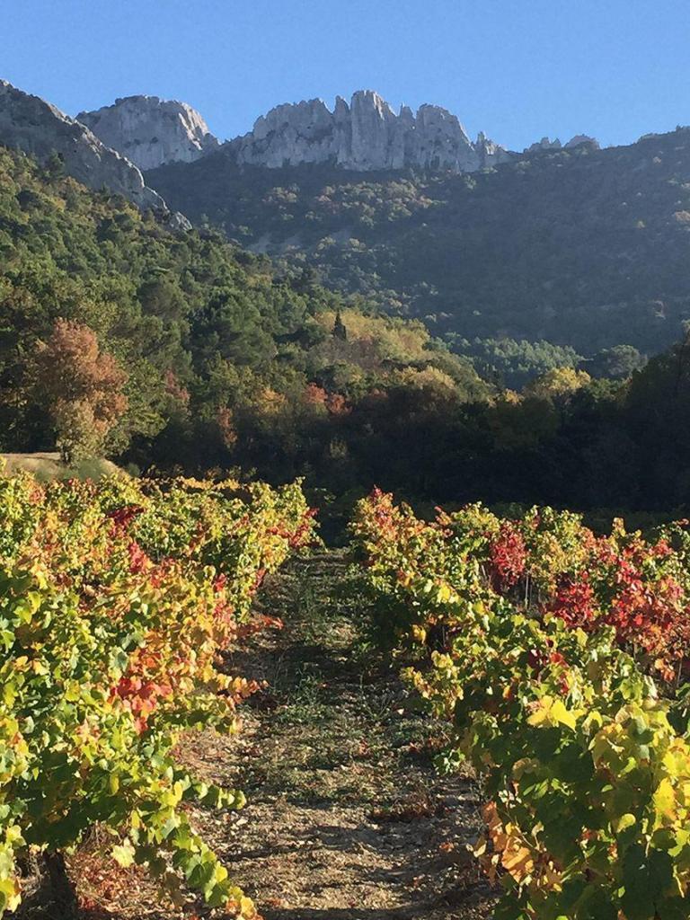 Travel Provence Drome Dentelles de Montmirail