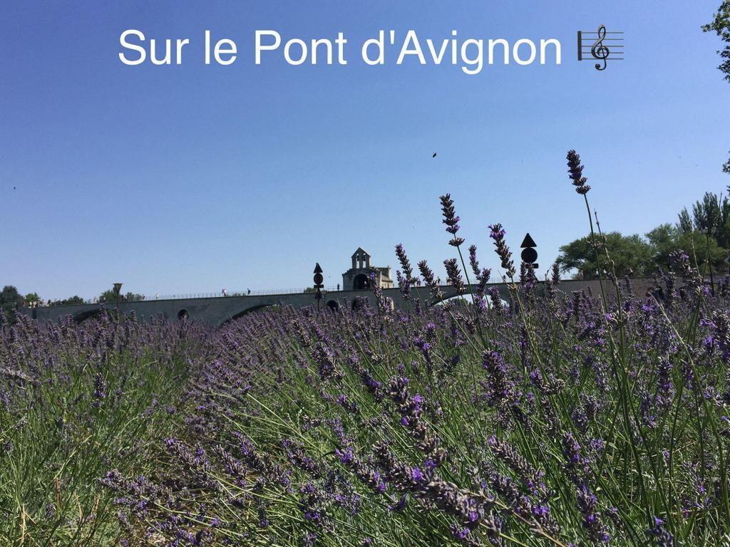 Travel Provence Avignon pont