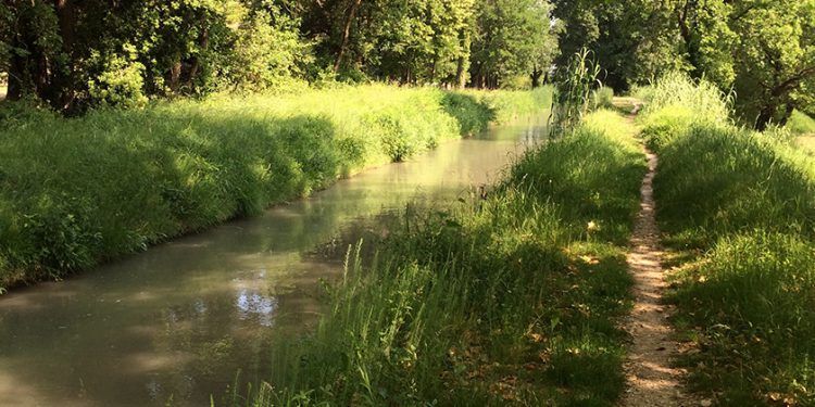 Hike Canals St Remy Walks Canals @Keith_vansickle