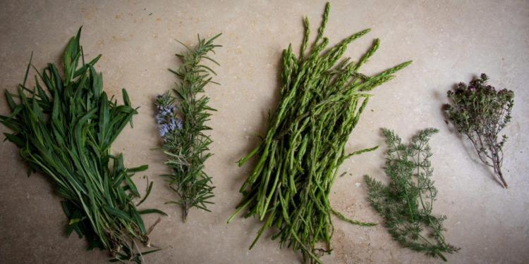 Spring Produce April Events Provence