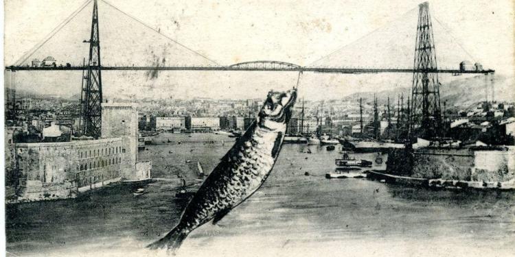Provence History Tale Sardine