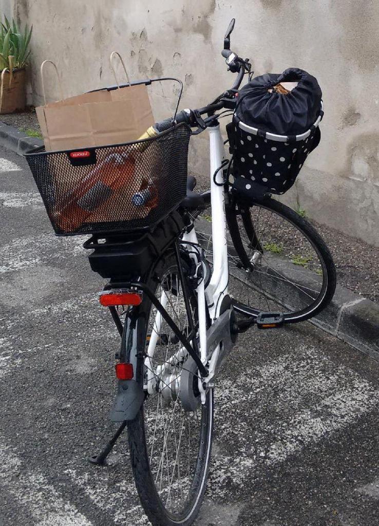 Provence Retirement Home Gayle Padgett Shopping by Bike