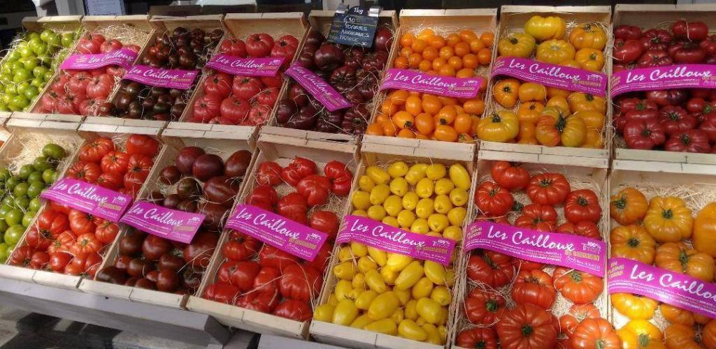 Vibrant tomatoes Le Potager de Manon in Saint-Remy Provence Retirement Home Gayle Padgett