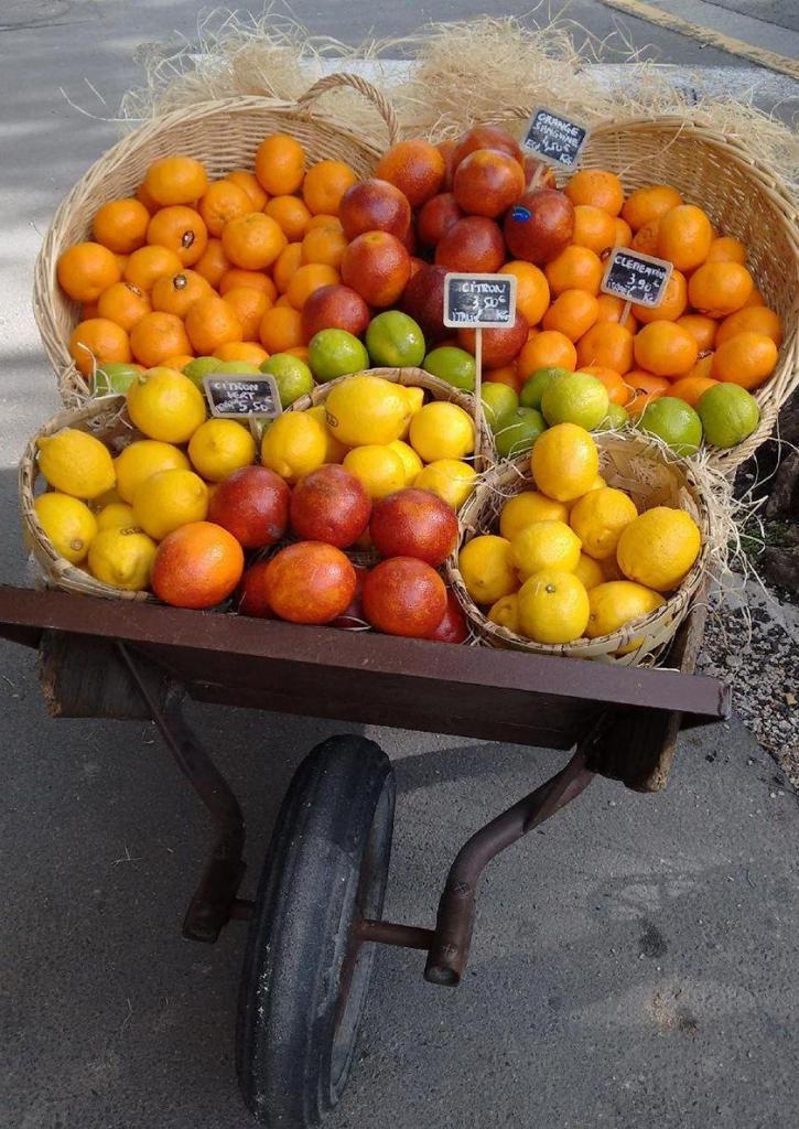 Wheelbarrow of fruit Saint-Remy de Provence Gayle Padgett