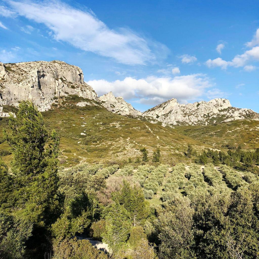 Capturing Provencal Scenes Favourite Image Alpilles