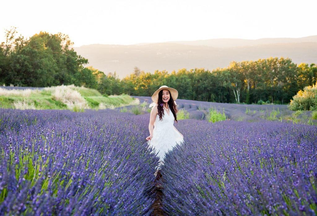 Capturing Provencal Scenes Lavender Fields Provence