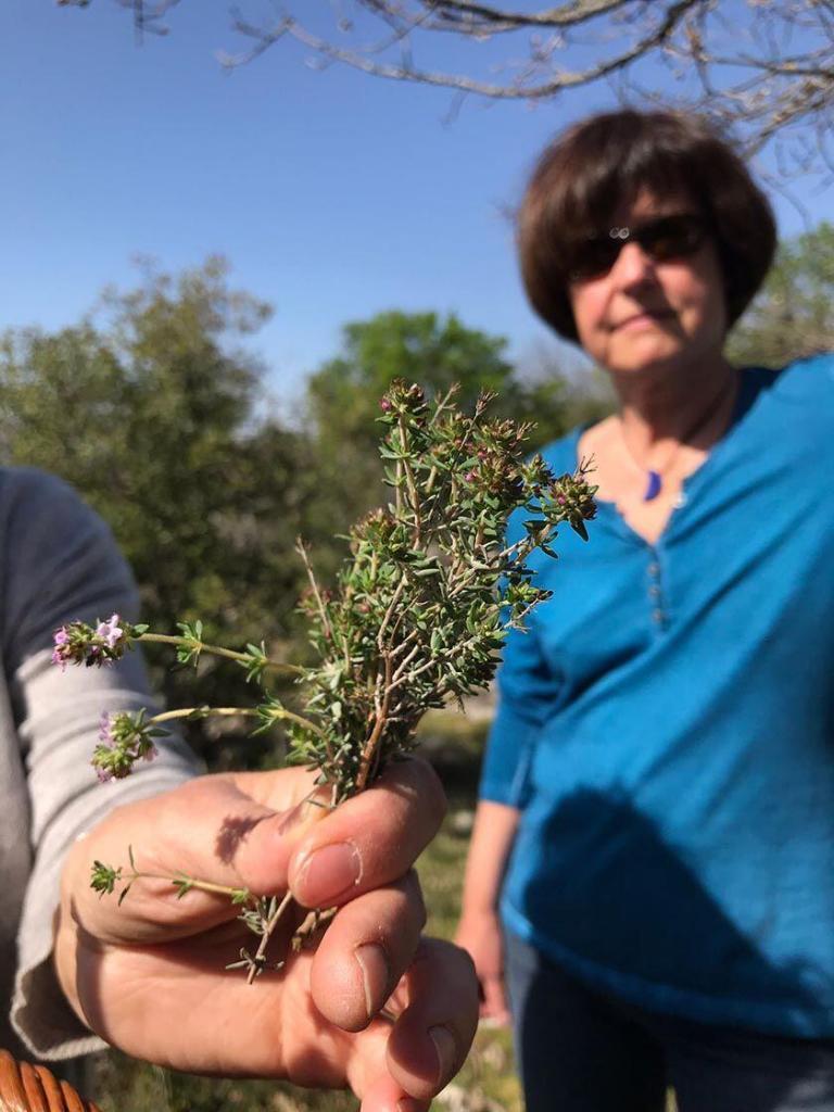 French Immersion Cooking Class Foraging Herbs